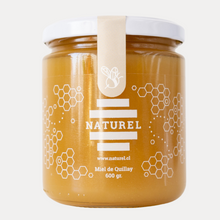 Cargar imagen en el visor de la galería, Miel de Quillay, miel orgánica, miel en frasco de vidrio, miel premiun