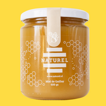 Cargar imagen en el visor de la galería, Miel de quillay, miel en pote de vidrio, miel agroecológica, miel naturel, miel de quillay naturel