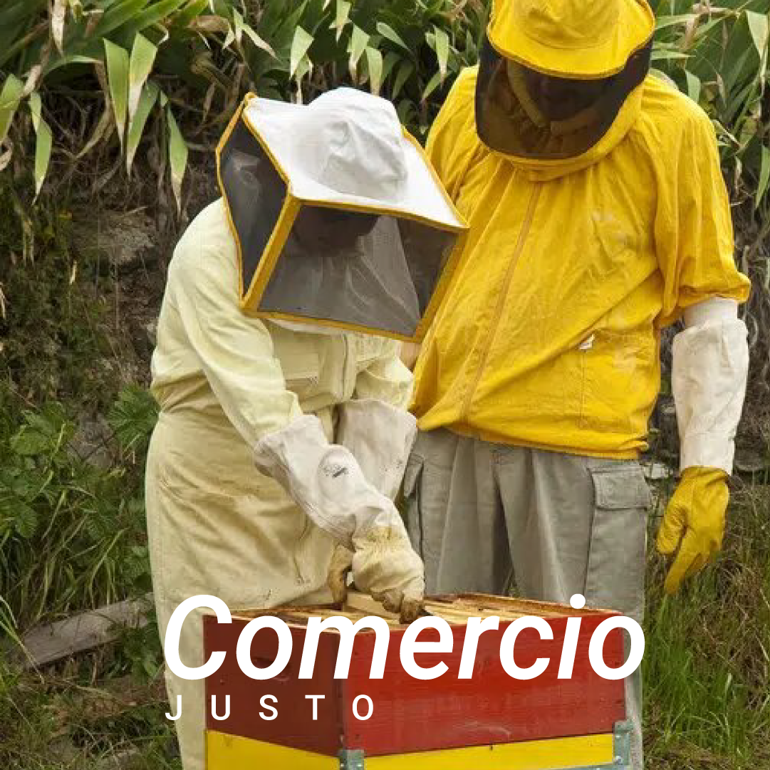 Comercio justo, comercio justo miel chile, comercio justo miel orgánica, comercio justo en apicultural