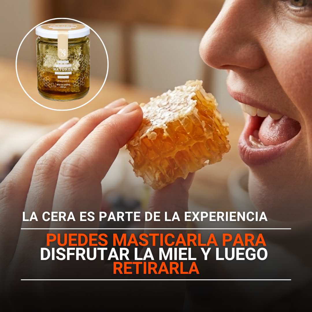 Miel en Panal