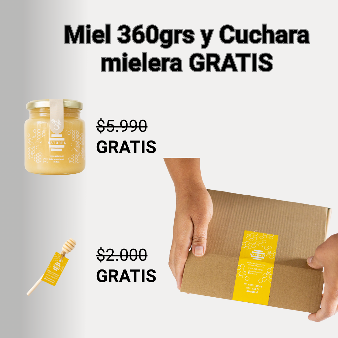 Pack Tesoros de la colmena | 4 Tipos de mieles | Incluye 2 regalos 🎁