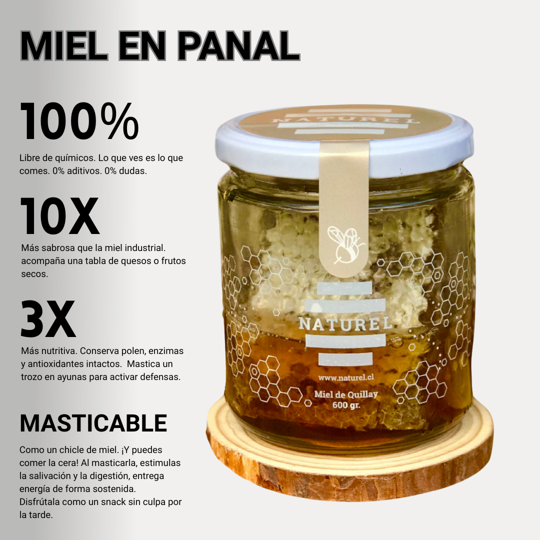 Pack Tesoros de la colmena | 4 Tipos de mieles | Incluye 2 regalos 🎁