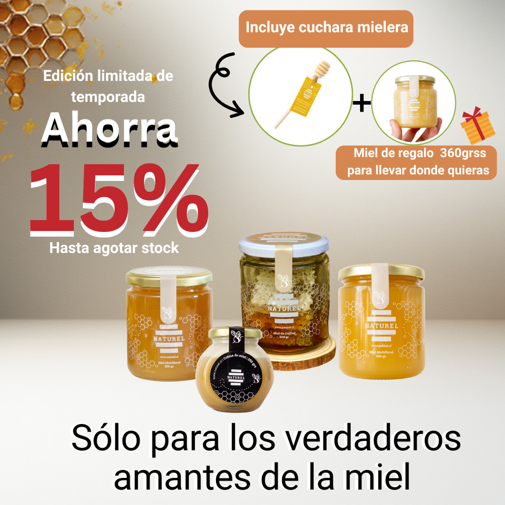 Pack Tesoros de la colmena | 4 Tipos de mieles | Incluye 2 regalos 🎁