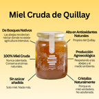 Miel de Quillay 1 Kilo