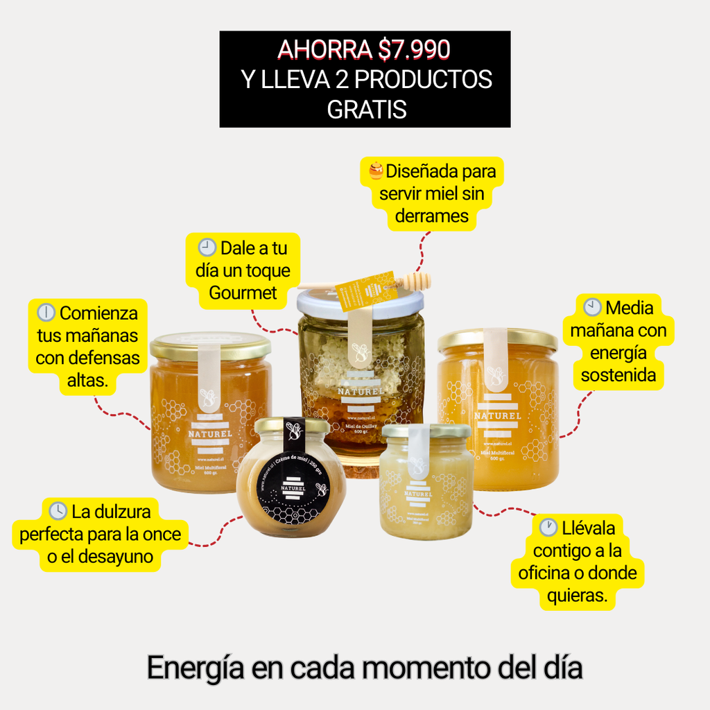 Pack Tesoros de la colmena | 4 Tipos de mieles | Incluye 2 regalos 🎁