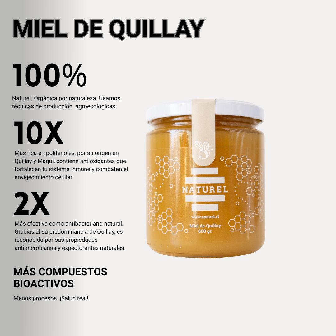 Pack Tesoros de la colmena | 4 Tipos de mieles | Incluye 2 regalos 🎁