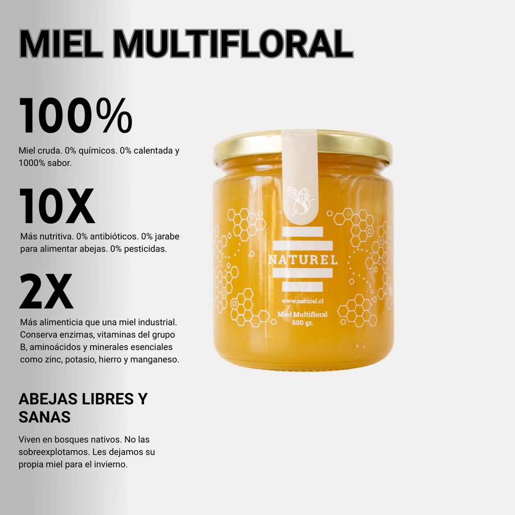 Pack Tesoros de la colmena | 4 Tipos de mieles | Incluye 2 regalos 🎁