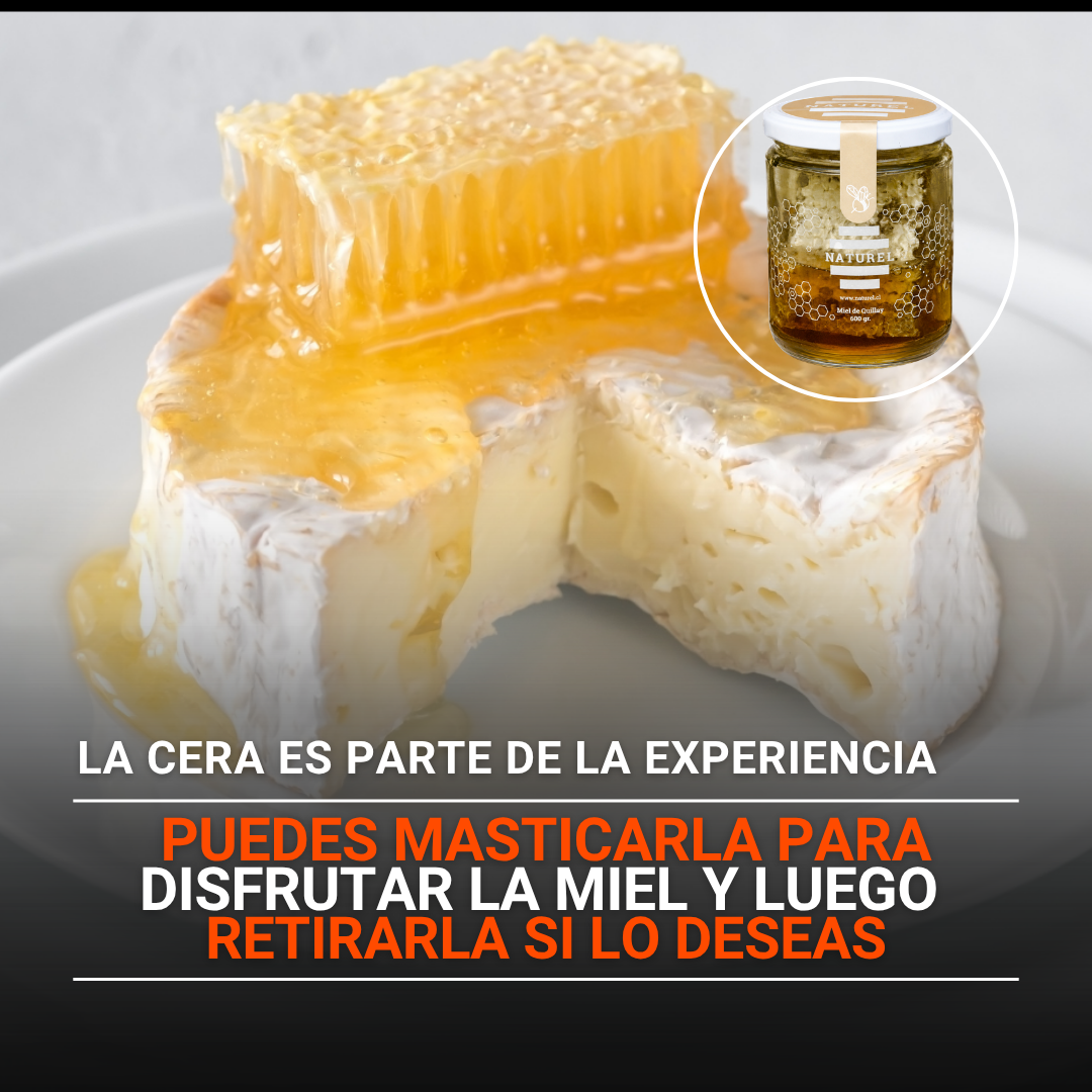 como comer la miel en panal, receta de miel en panal, miel en panal con queso camembert