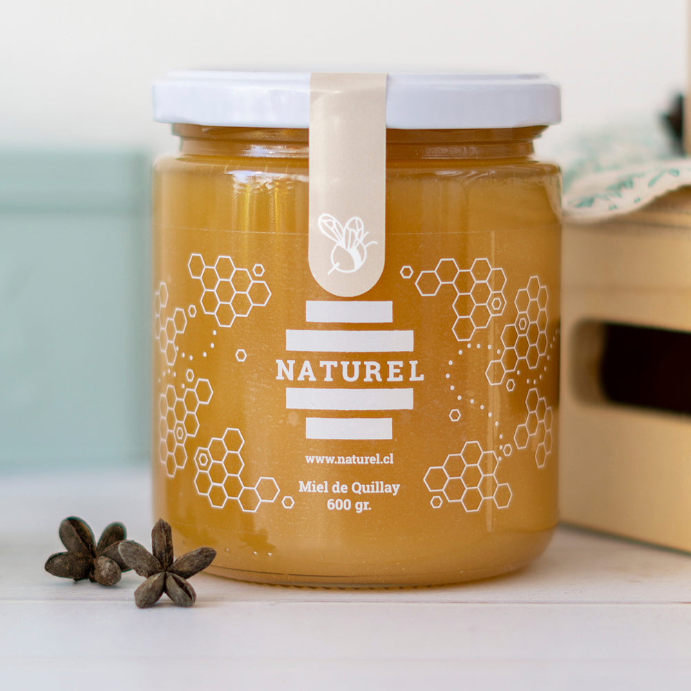 miel pura, miel orgánica, miel sin filtrar, miel natural, miel sin pasteurizar, la mejor miel, miel en santiago, precio miel pura, precio miel orgánica, miel de Quillay, miel cruda