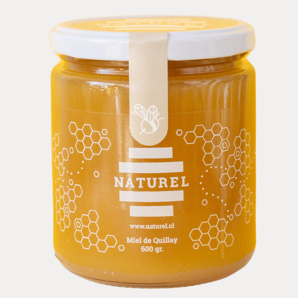 Miel de Quillay, miel de quillay 600grs, miel quillay orgánica, miel de quillay pura, la mejor miel de quillay