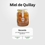 Pack Defensa Total
