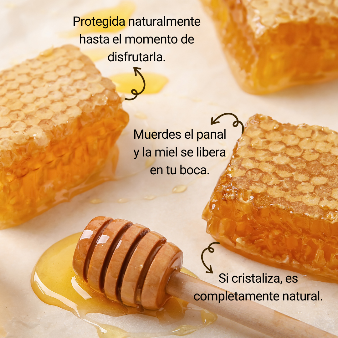 beneficios, como comer la miel en panal