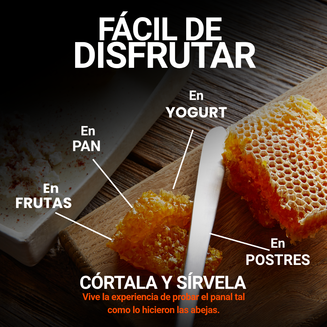 panal con abejas, panal de miel