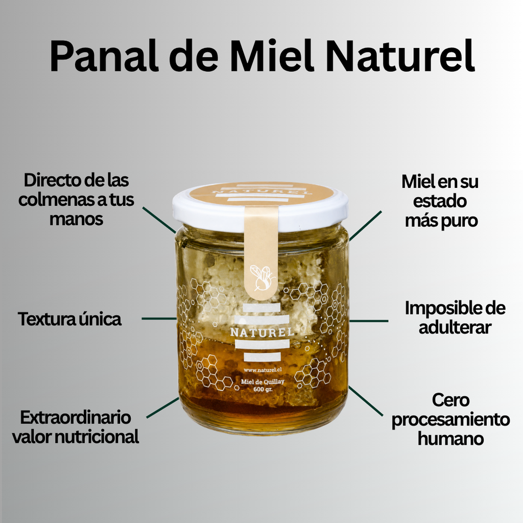 miel en panal, panal de miel, miel pura, miel sin intervención, miel directo de las colmenas