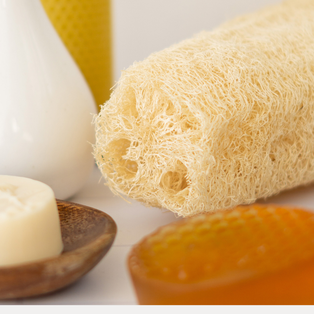 esponja natural para ducha, esponja natural para lavar la loza