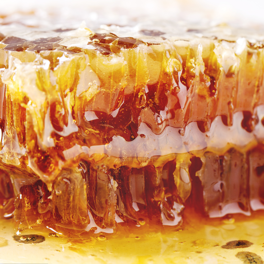 trozo de miel en panal, como es la miel en panal